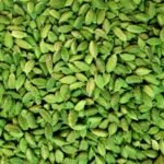 Green Cardamom