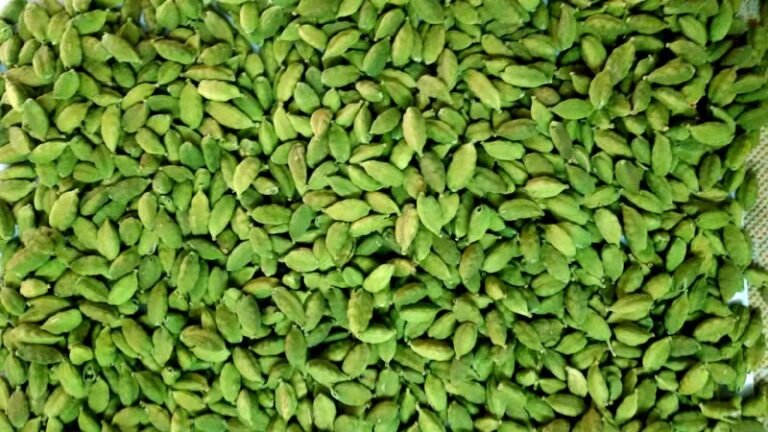 Green Cardamom