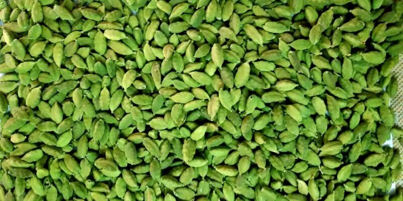 Green Cardamom