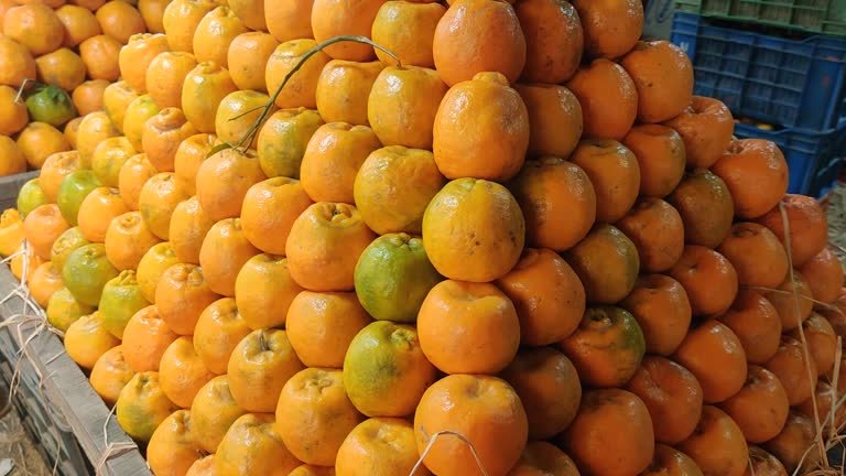 Nagpur Orange