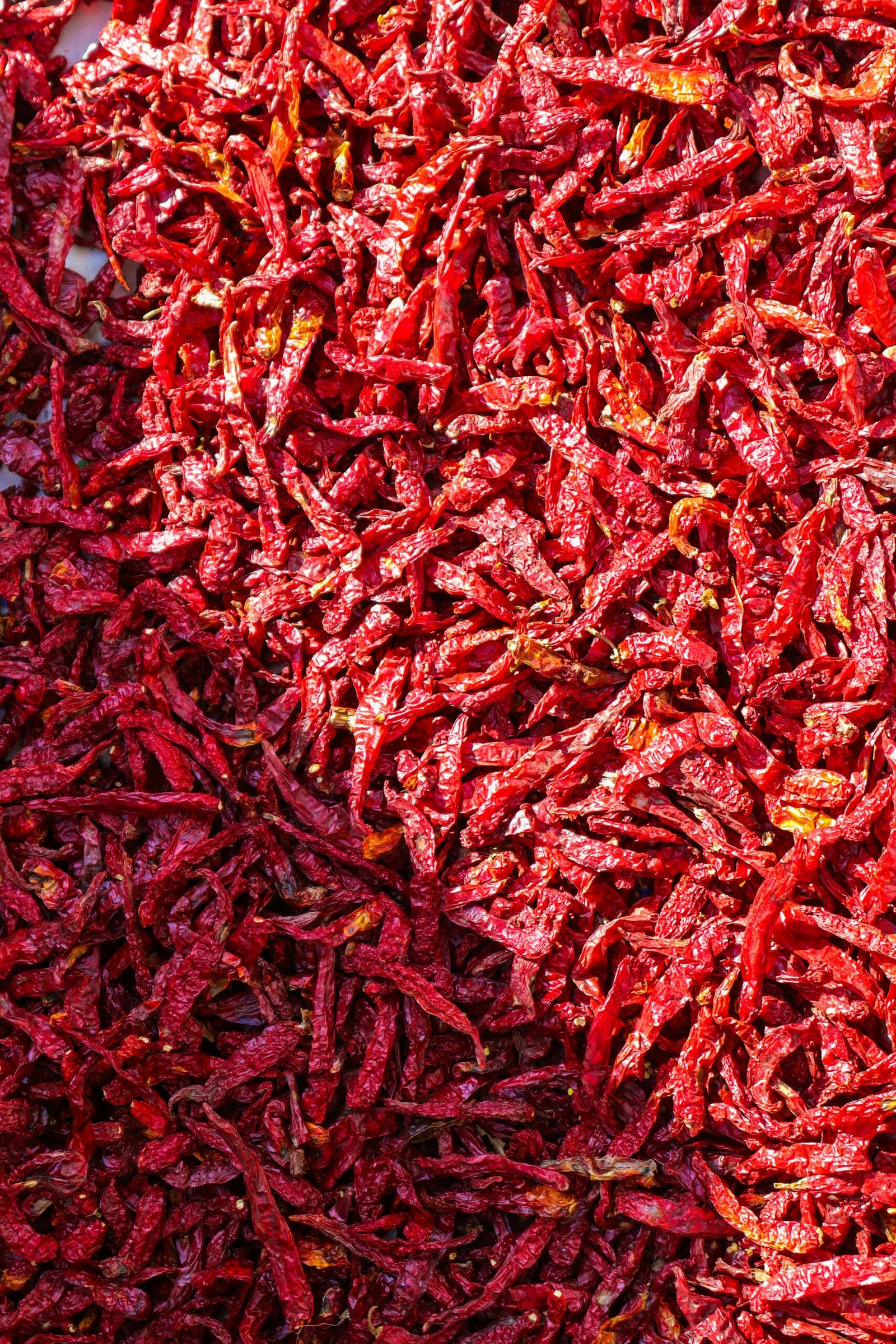Red Chilli